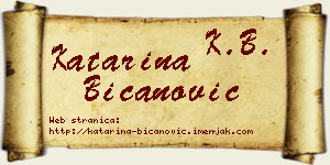 Katarina Bicanović vizit kartica